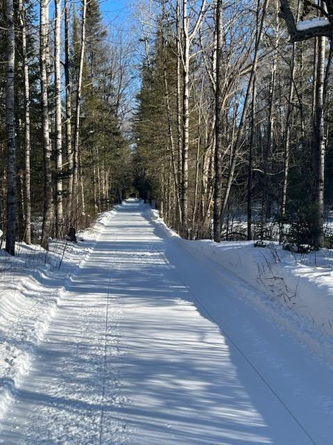 Rat River Trail near Int 30